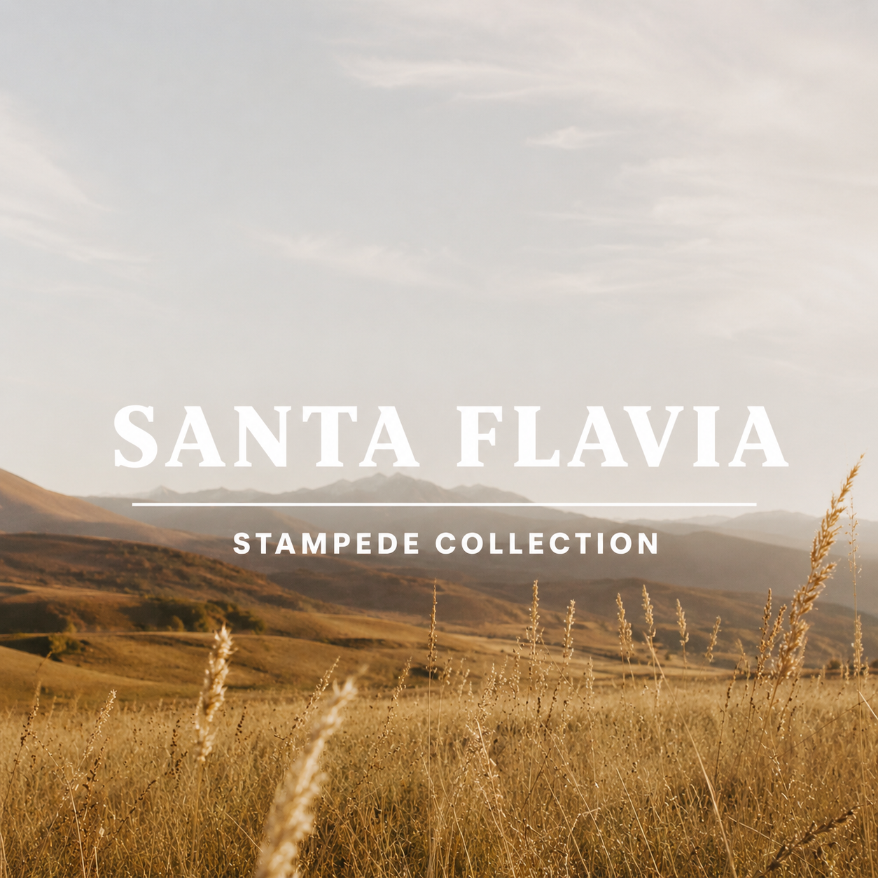 Stampede Collection