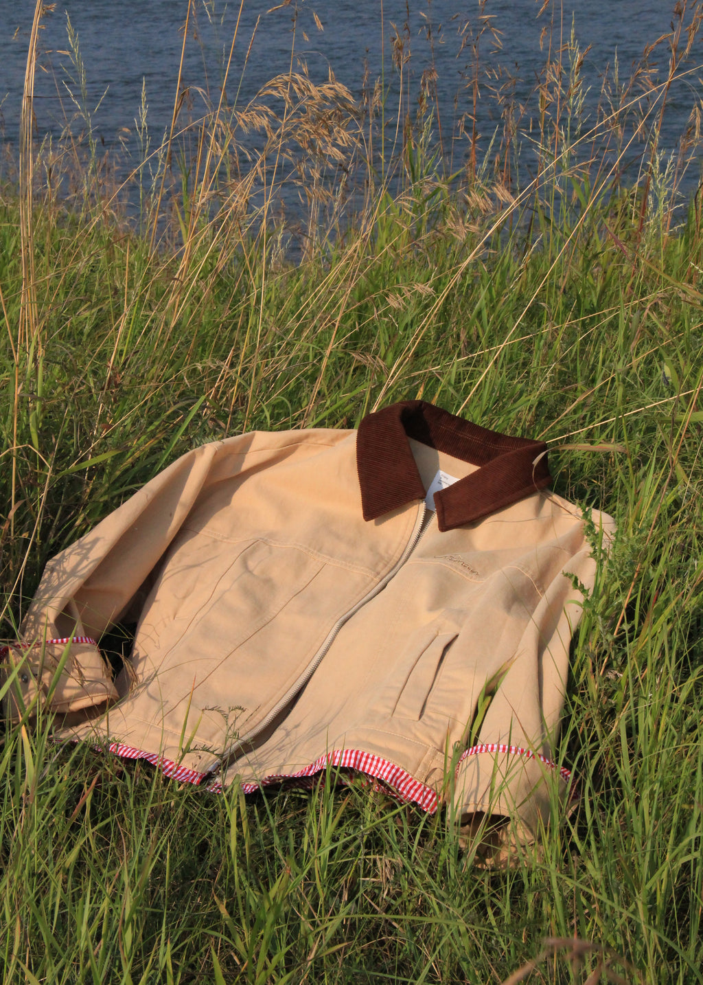 A beige jacket with a dark brown collar and pink gingham trim, lying on tall green grass near a body of water.