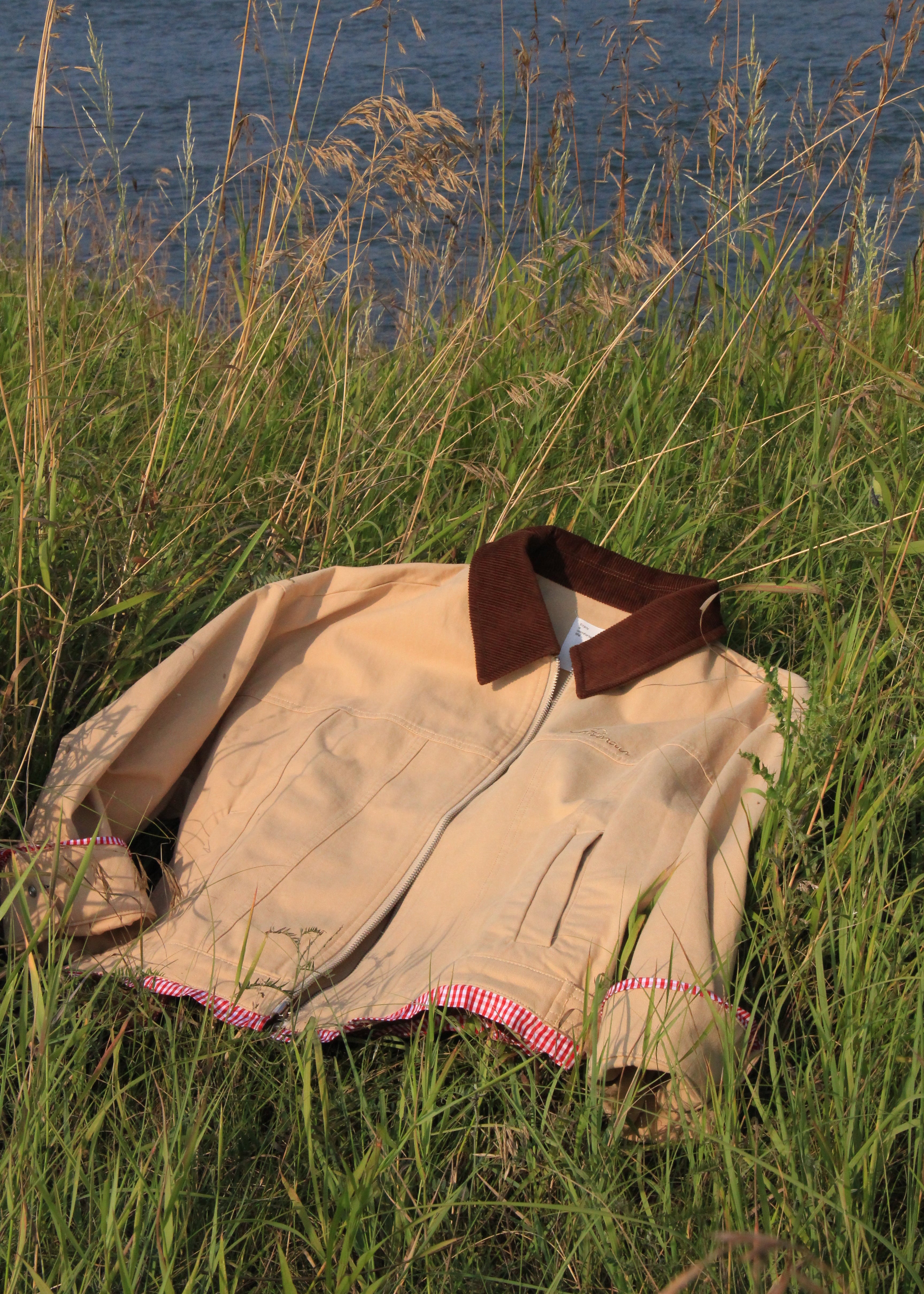A beige jacket with a dark brown collar and pink gingham trim, lying on tall green grass near a body of water.