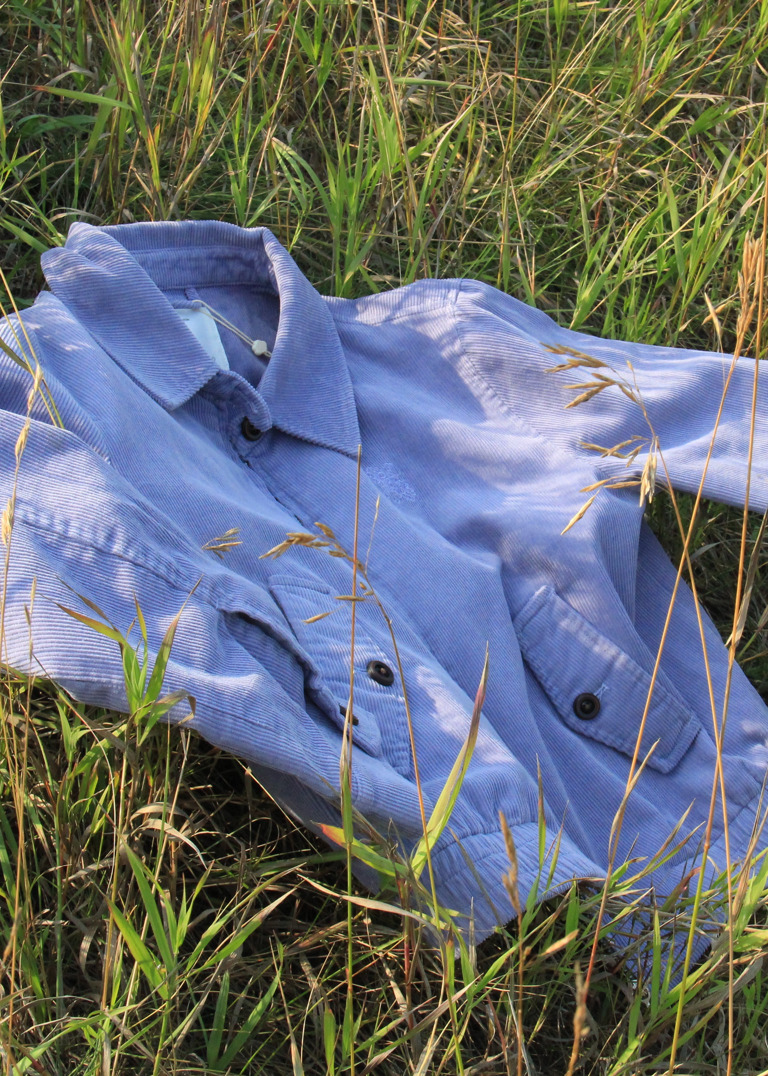 A light blue button-up shirt laid out in tall green and dry grass outdoors.